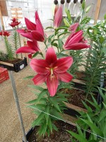 [5604 VH34 No01.JPG]